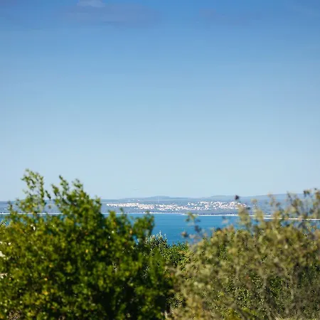 Lungera * Pula